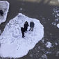 Группа туристов оказалась на оторвавшейся льдине у берегов Канады