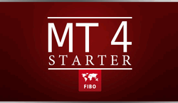 МТ 4 Starter 