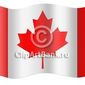 Канада:Базовый индекс розничных продаж в июне уменьшился на 0.4 % 