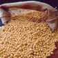 На мировых рынках фиксируется понижение сои