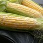 На прошедшей торговой неделе котировки сои и кукурузы вели себя разнонаправленно