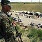 "Озодлик" о скандале в Сохе: почему в селах Кыргызстана введен режим ЧС