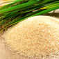 Урожай вьетнамского риса в текущем МГ увеличится до 27,5 млн. тонн