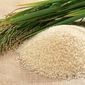 Импорт риса КНР увеличится в 4 раза