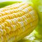 Значительно повысилась стоимость белозёрной кукурузы в Южной Африке