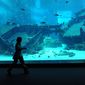 В Сингапуре открылся крупнейший аквариум в мире