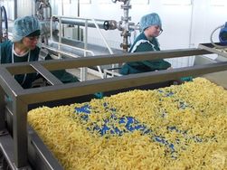 В Кыргызстане открыт завод по переработке картофеля