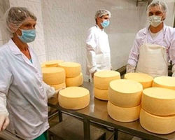 Россельхознадзор вновь выразил недовольство качеством украинских сыров