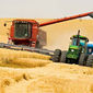 Сколько зерна собрано в Азербайджане?