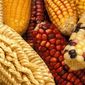 Мировой рынок кукурузы готов к продолжительному росту