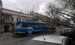 Шторм в Одессе – потоп, падения деревьев и сорванные крыши