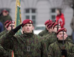 Как в НАТО оценивают литовских военных?