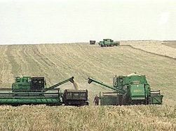 жатва