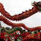 В Китае отмечают год Дракона