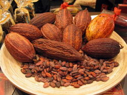 какао-бобы