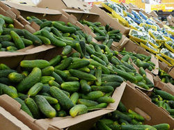 СМИ о темпах роста в России цен на продукты питания