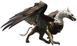 Dragon’s Dogma