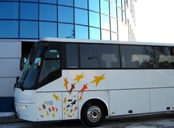 Эстонская пенсионерка погибла под колесами автобуса 