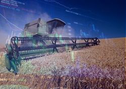 Инвесторам: рынок пшеницы ожидает неминуемый рост?