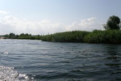 Экологическая прокуратура