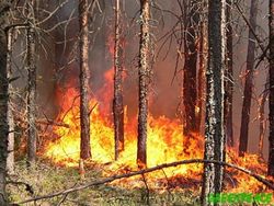 Масштабы пожара в Херсонской области