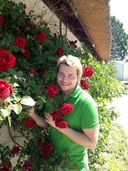 Николай Басков