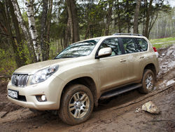 Toyota Prado