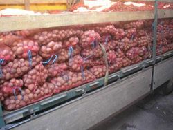 Цены на картофель в Украине