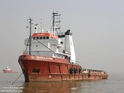Seabulk Plover