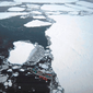 Какое будущее ждет льды Антарктиды и Арктики