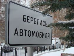 В Березовке неопытный водитель прижала старушку к дереву