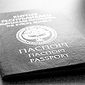 Предприятие по выпуску паспортов