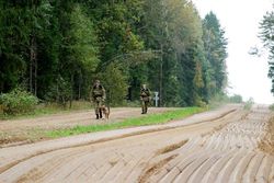 пересечение белорусской границы