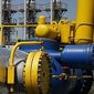 Шведы инвестируют в украинский газ