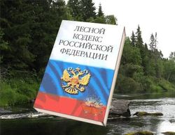 На охрану лесов Россия тратит... в 13.5 раз меньше, чем Баларусь