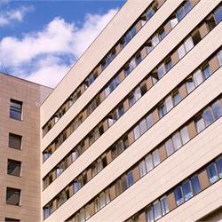 Убитый в Москве кореец проживал на стройплощадке