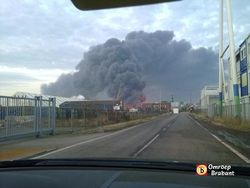 Нидерландский город окутан ядовитым облаком