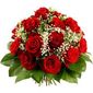11  июня -  день рождения Жака-Ива-Кусто, Хью Лари и Дмитрия Колдуна