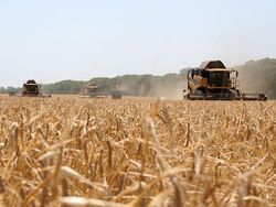 аграрная продукция