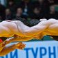 вольная борьба