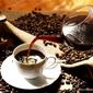 Рынок кофе Танзании: качество улучшается, цены растут