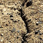 Дагестанские чиновники присвоили 1000 га государственной земли