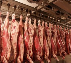 С 4 февраля ввоз охлаждённого мяса из Германии в РФ запрещён