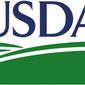 Обзор рынка пшеницы: трейдеры в ожидании отчетов USDA