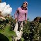 За сентябрь Египет экспортировал хлопка на 8 миллионов долларов