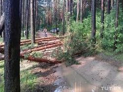 Минское море