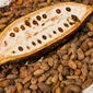 За последний год мировая стоимость какао упала