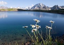 Северный Кавказ