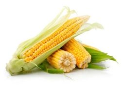 Кукурузные котировки в Индии продолжают движение вниз