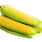 На внутреннем рынке Южной Африки упала стоимость кукурузы